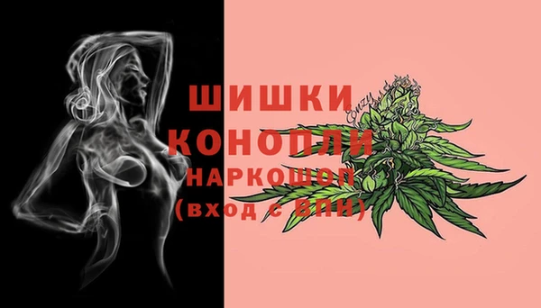 PSILOCYBIN Липки