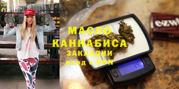 дмт Инта