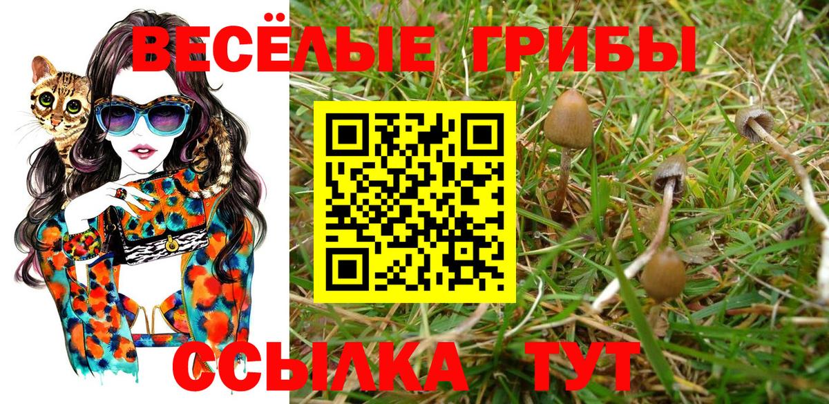 Псилоцибиновые грибы прущие грибы  как найти закладки  Южноуральск  Псилоцибиновые грибы мухоморы 