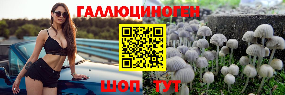 Южноуральск  Галлюциногенные грибы мицелий  Вход с VPN 
